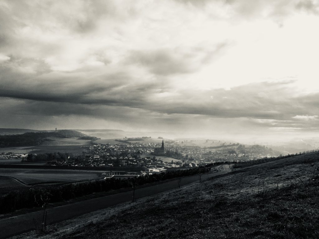 Blick auf Waldböckelheim und die Weinberge im Naheland